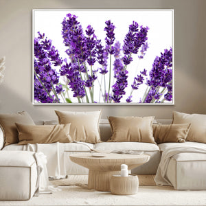 Lavender Flower Wall Art Canvas Print
