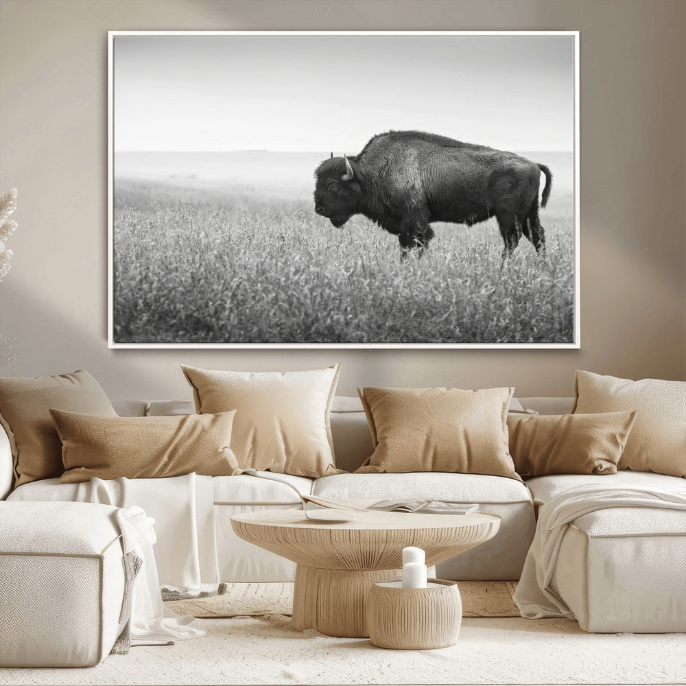 Bison in Prairie Wall Art Canvas Print – Framed Rustic