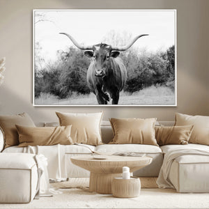 Longhorn Photography Wall Art Canvas Print – Framed Western