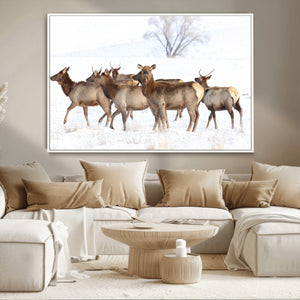 Winter Elk Scene Wall Art Canvas Print – Framed Wildlife