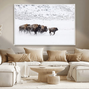 Bison Herd Decor Wall Art Canvas Print – Framed Snowy Bison