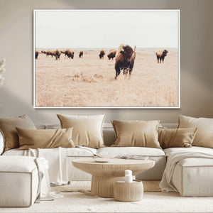 Bison Herd Wall Art Canvas Print, Framed Western Landscape