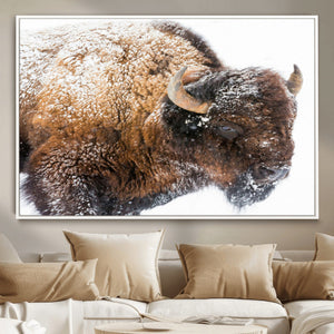 Snowy Buffalo Wall Art Canvas Print – Framed Rustic Lodge