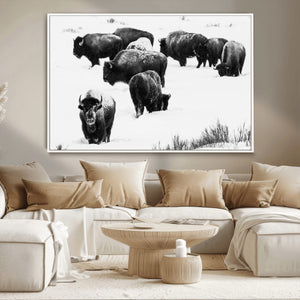 Buffalo Herd Wall Art Canvas Print – Framed Black and White
