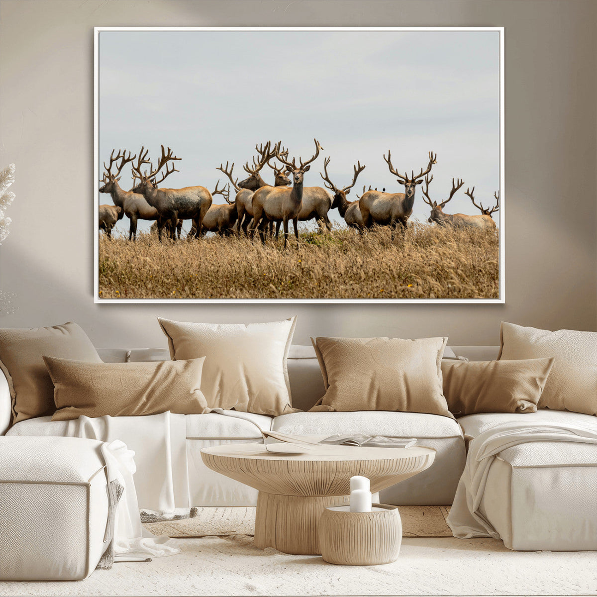Elk Herd Wall Art Canvas Print – Framed Wildlife Photography