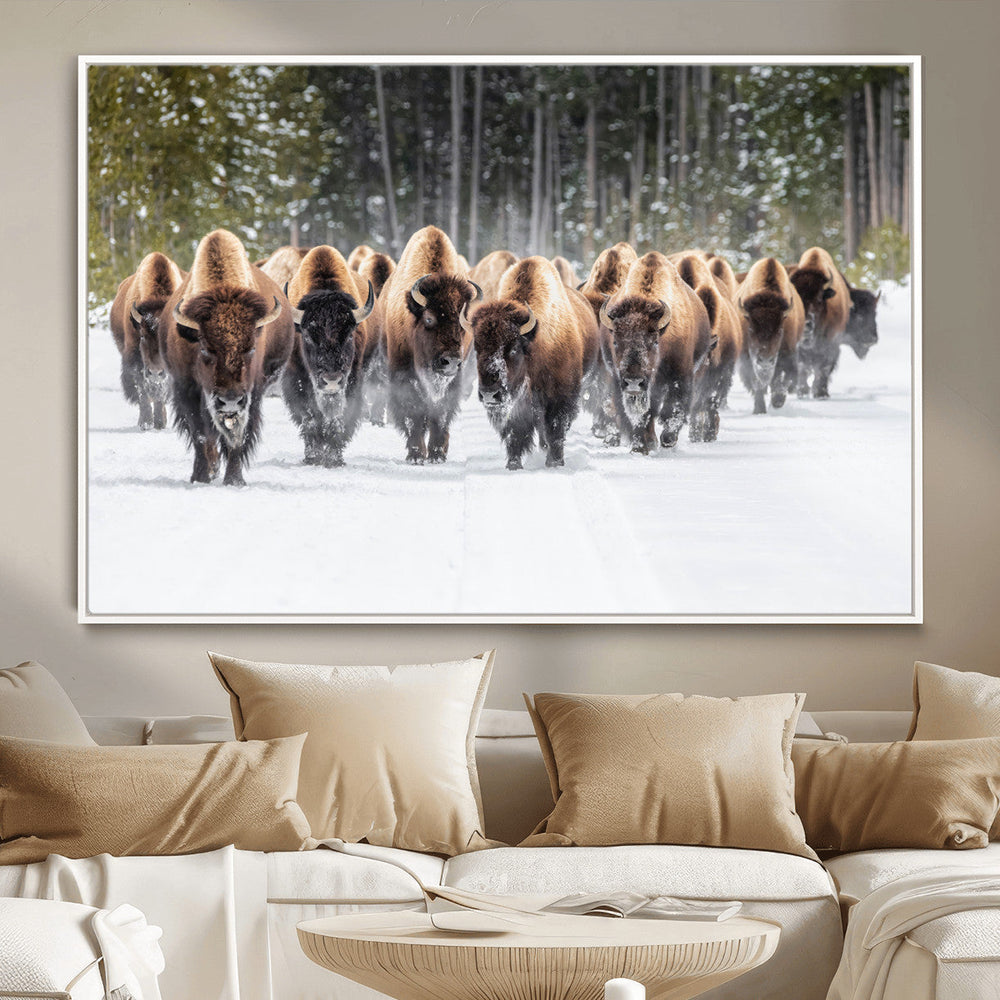 American Bison Herd Wall Art Canvas Print – Powerful Winter