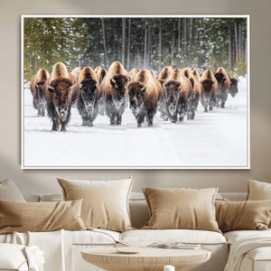 American Bison Herd Wall Art Canvas Print – Powerful Winter
