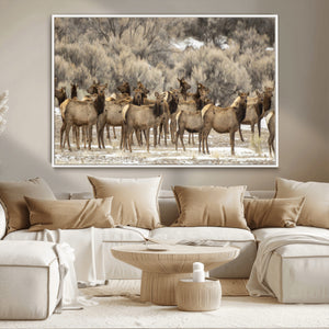 Majestic Elk Herd Winter Canvas, Elk Herd Winter Landscape