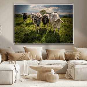 Grazing Cattle Herd Pasture Green Field Livestock Natural