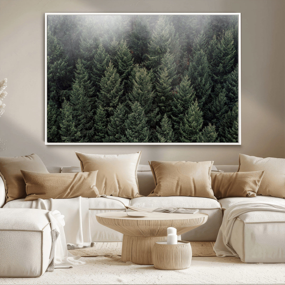 Dense Evergreen Forest Misty Morning Fog Pine Trees Woodland