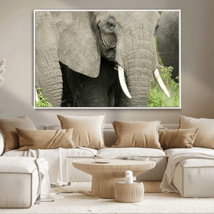 Wild Elephant Wall Art Canvas Print