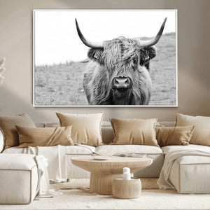 Newfoundland Cow Art Wall Art, Black White Cow Art Wall Art
