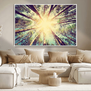 Tree and Sunshine Canvas Print