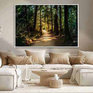 Sunlit Forest Pathway Canvas Print | 3 Panel Large Nature