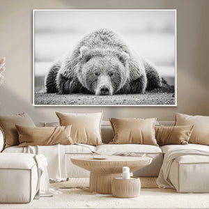 Resting Grizzly Bear Wall Art Canvas Print – Majestic Lazy