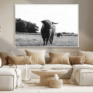 Black and White Highland Cow Wall Art Canvas Print | Rustic