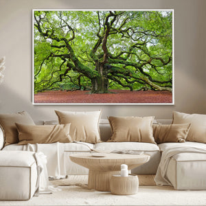 Framed Angel Oak Tree Wall Art - 3-Panel Canvas Prints,
