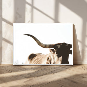 Texas Longhorn Wall Art Canvas Print | 3-Panel Large