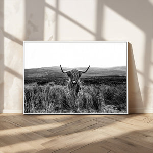 Black and White Highland Cow Canvas Wall Art, Longhorn