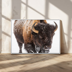 Bison Wall Art Canvas Print For Farmhouse, Wild Animal Wall