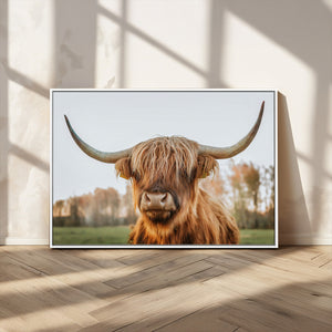Highland Cow Animal Scottish Cattle Art Print Farmhouse Wall