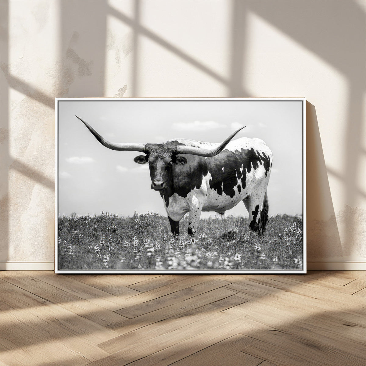Texas Black White Highland Longhorn Cow Wall Art Canvas