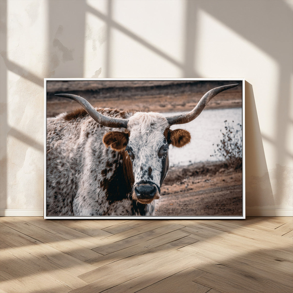 Texas Longhorn Wall Art Canvas Print – Framed Spotted Bull