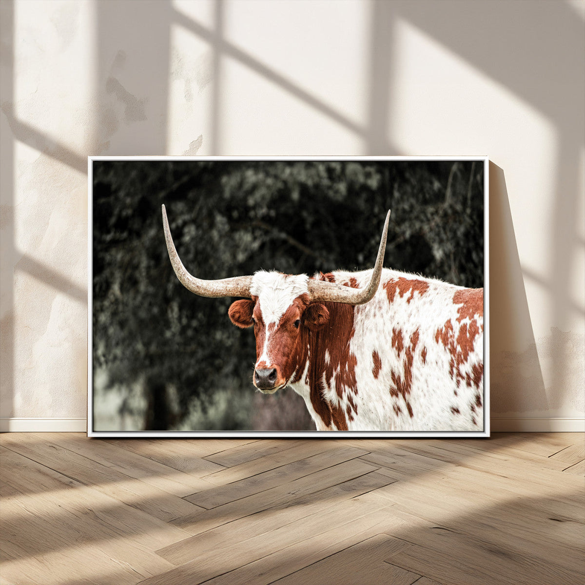 Texas Longhorn Wall Art Canvas Print – Framed Spotted Bull