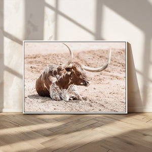 Texas Longhorn Wall Art Canvas Print – Framed Resting Bull