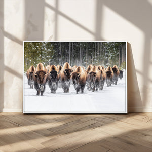American Bison Herd Wall Art Canvas Print – Powerful Winter