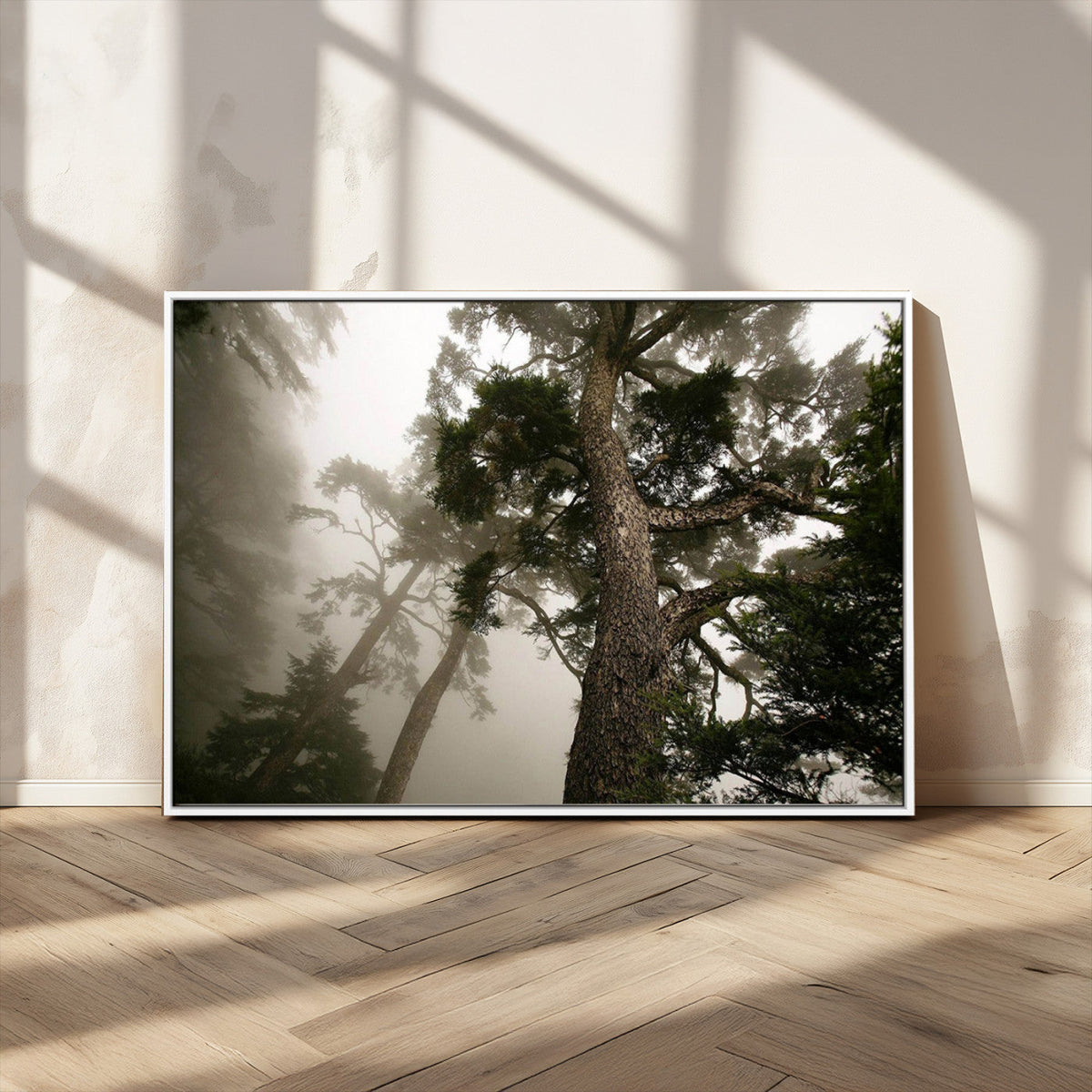 Misty Forest Canvas, Tall Trees Foggy Atmosphere Nature