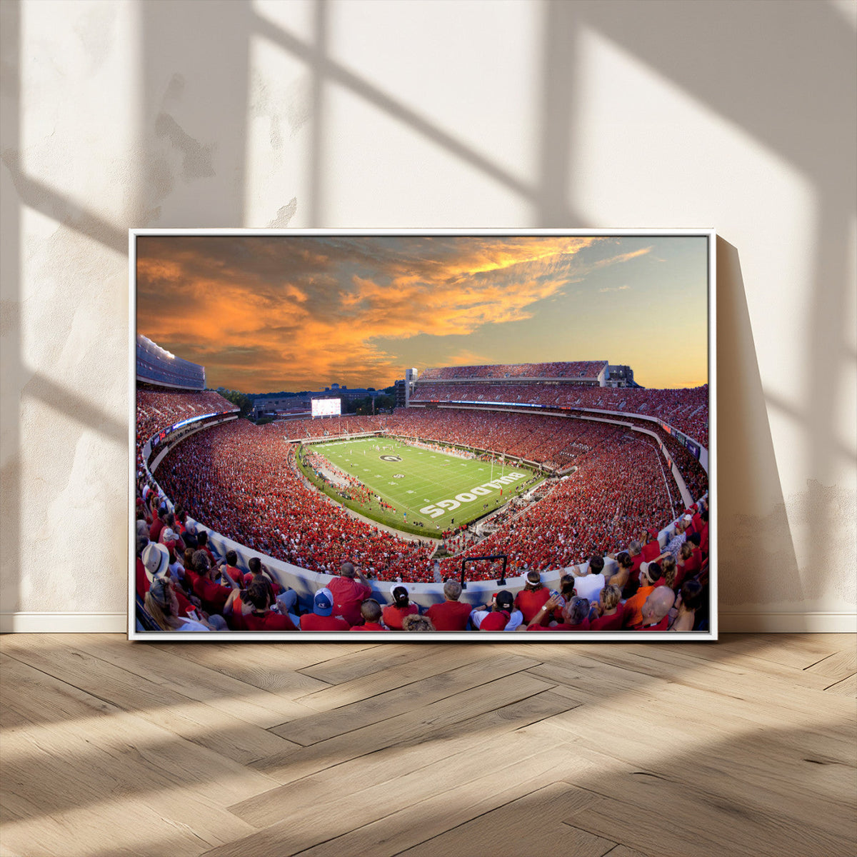 Dooley Stadium Wall Art, Sports Arena Canvas Print, Dooley