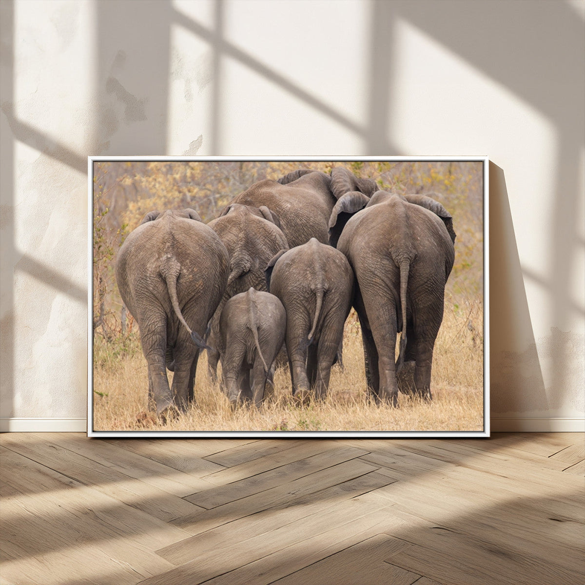 Wild Elephant Wall Art Canvas Print