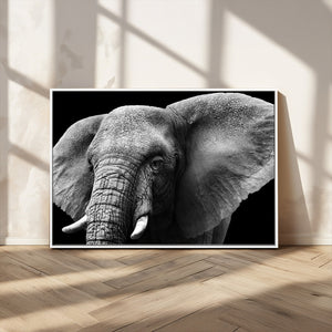 Big Elephant Close Up Wall Art Canvas Print