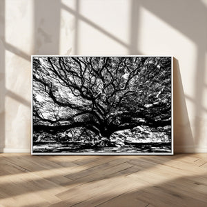 Mighty Angel Oak Wall Art | Angel Oak Tree Art Print