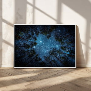 Forest and Stars Wall Art Canvas Print