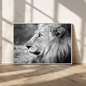 Lion Wall Art Canvas Print – Framed Majestic Wildlife