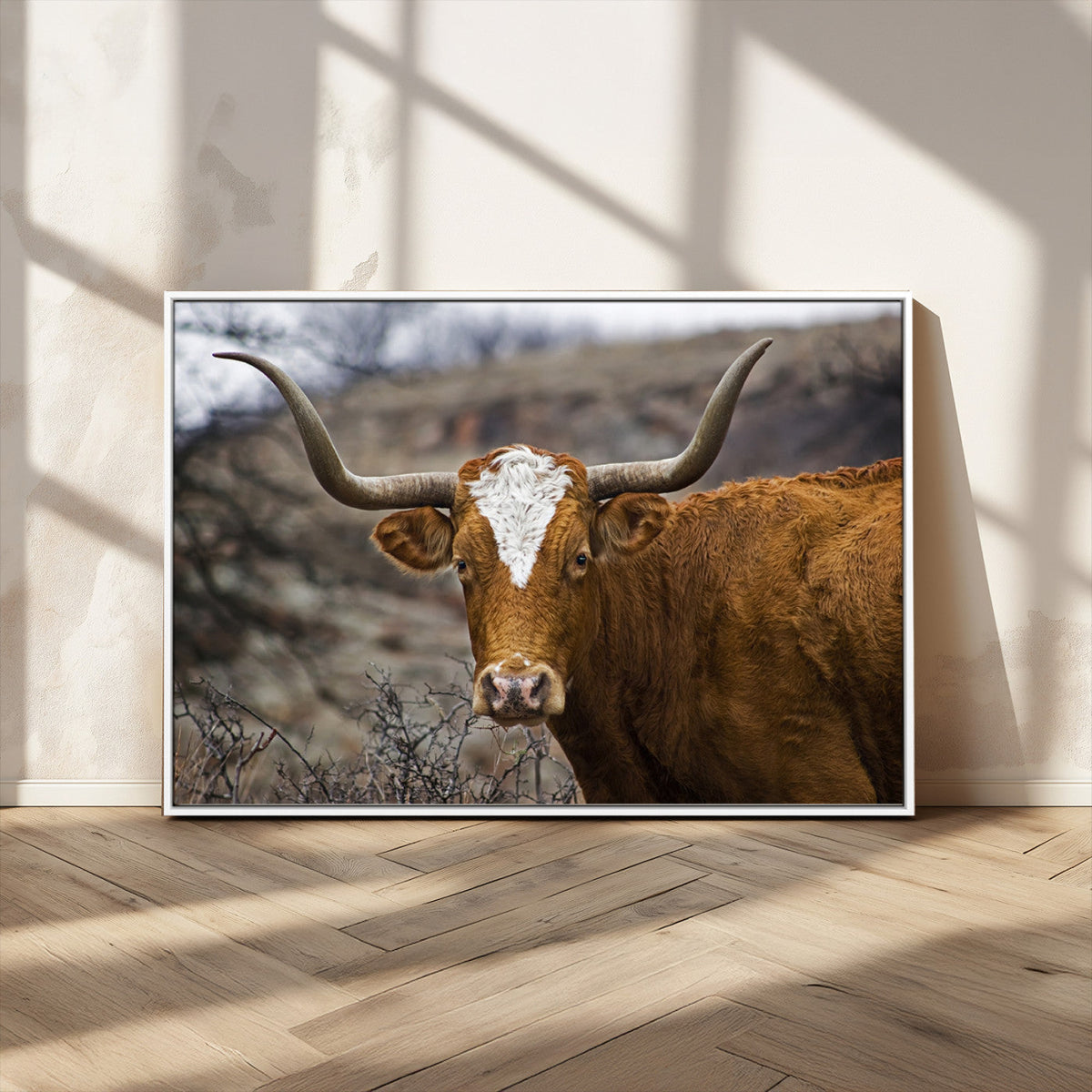 Texas Longhorn Canvas Wall Art - Longhorn Steer Canvas Wall