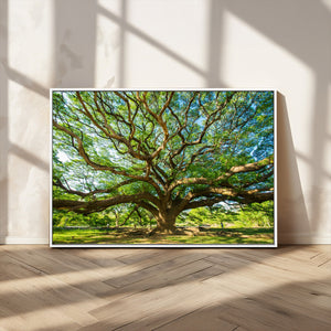 Majestic Oak Tree Wall Art – Serene Nature Canvas Print with