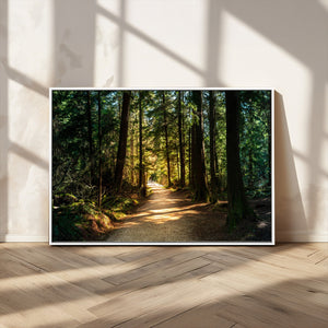 Sunlit Forest Pathway Canvas Print | 3 Panel Large Nature
