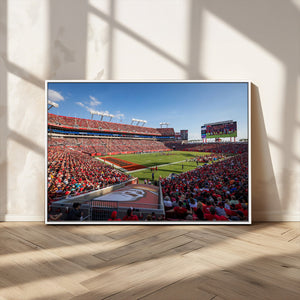 Florida Tampa Raymond James Stadium Wall Art Canvas Print -