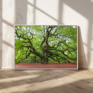 Framed Angel Oak Tree Wall Art - 3-Panel Canvas Prints,