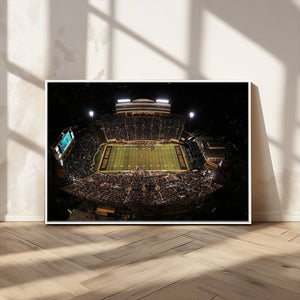 Wake Forest University Demon Deacons Canvas Printi, Football