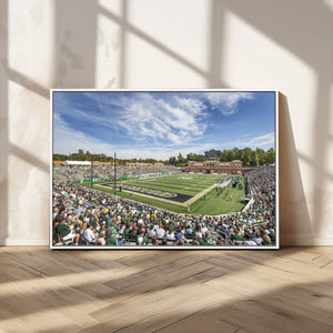 University of Charlotte 49ers Football Team Print -