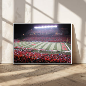 Rutgers University Scarlet Knights Football Team Print -