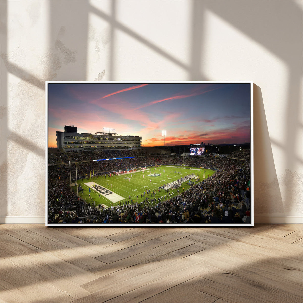The University of Connecticut UCONN Huskies Football Team
