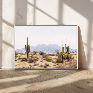 Arizona Desert Wall Art Print | Arizona Desert Canvas Print