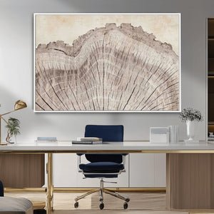 Tree Ring Wall Art Triptych, Rustic Wood Ring Canvas Print,