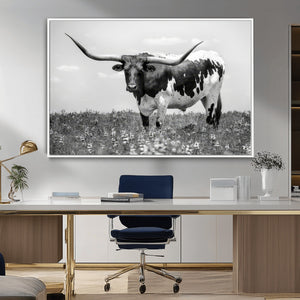 Texas Black White Highland Longhorn Cow Wall Art Canvas