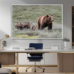 Wildlife Photography of 399 Grizzly Bear Cubs | Queen of the